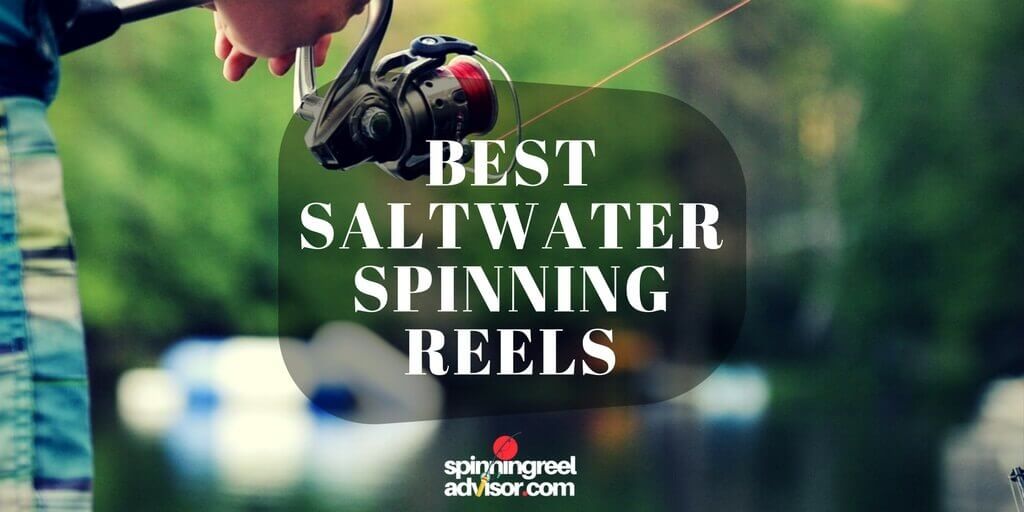 best saltwater spinning reels