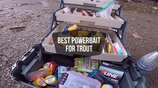 Best Powerbait For Stocked Trout