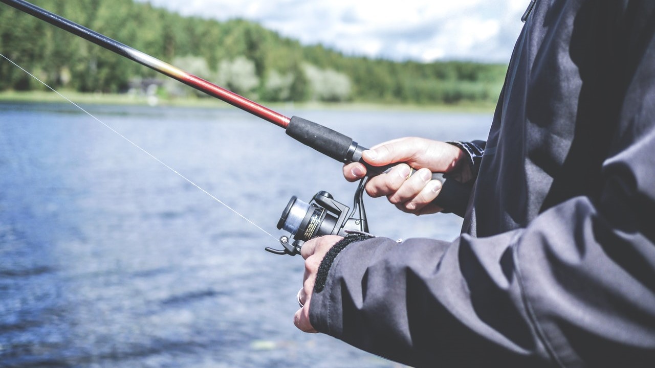 Best spinning rods for trout
