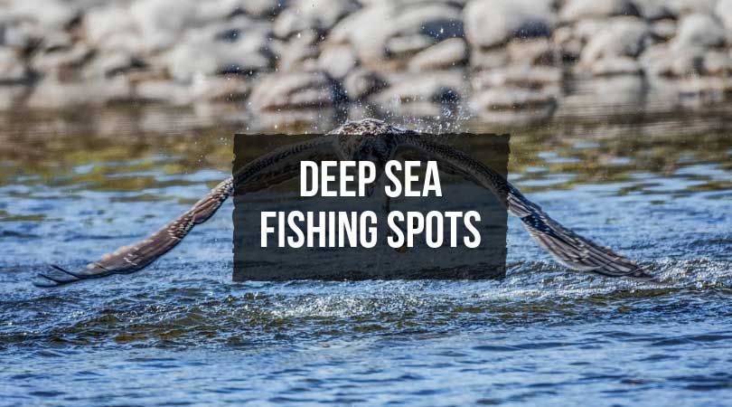 Deep-Sea-Fishing-Spots