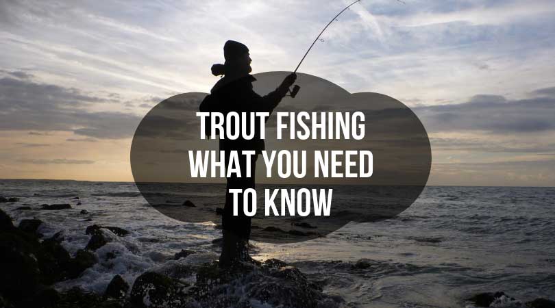 Trout-Fishing---What-You-Need-to-Know