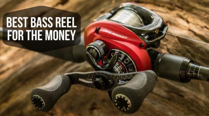 Best Bass Reel for the Money