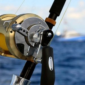 What To Look For In A Bass Reel