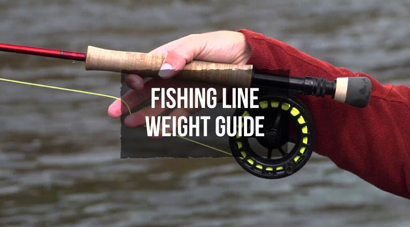 Fishing-Line-Weight-Guide